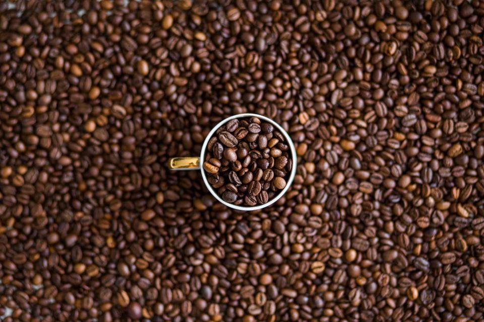A white cup full of coffee beans on a bed of roasted beans